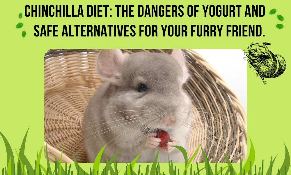 The Dangers of Yogurt and Safe Alternatives for Your Furry Friend